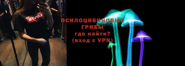 таблы Гусев