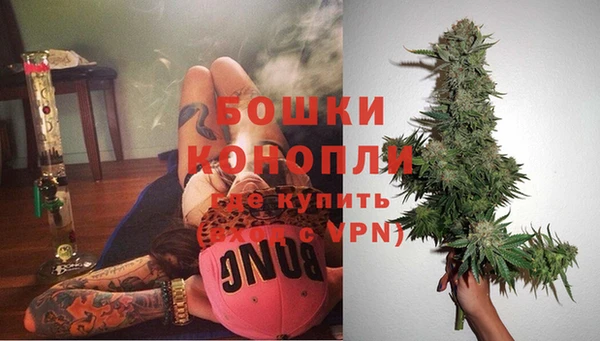 не бодяженный Горно-Алтайск