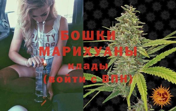 не бодяженный Горно-Алтайск