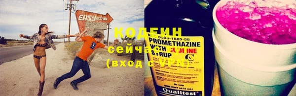не бодяженный Горно-Алтайск